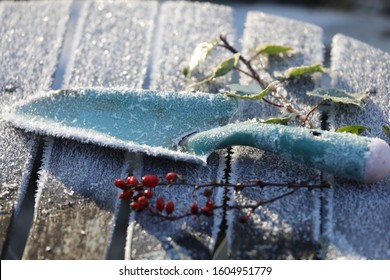 Garden Shovel With Ice, White Snow, Red Wild Berries, Ivy, Vintage Decoration In Winter