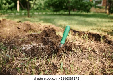 A Garden Shovel In The Loosen Ground Near A Watered Hole For Planting Inside Sprouted Seedlings For Cultivation Organic Vegetables In Eco Farms. Horticulture, Farming And Spring Gardening Concept