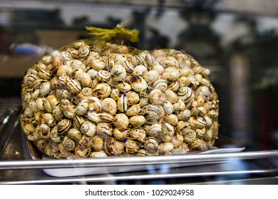 Garden Snails For Sale On The Market In Portugal