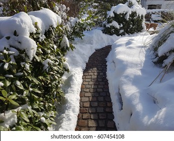 Garden, Snow, Winter