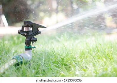 Garden Sprinkler Watering The Lawn