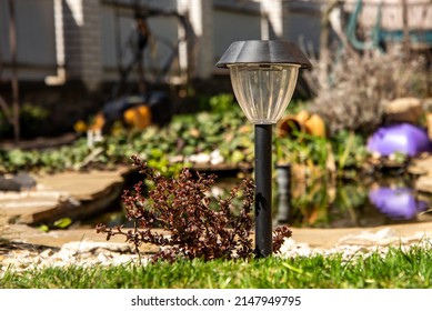 Garden Stone Path With Decorative Solar Light.Detail Of A Botanical Garden.