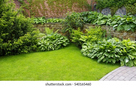 Garden stone path with grass growing up between the stones  - Shutterstock ID 540165460