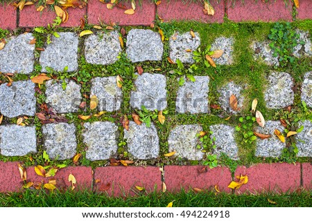 Similar – Image, Stock Photo Cobblestone with moss, autumnal