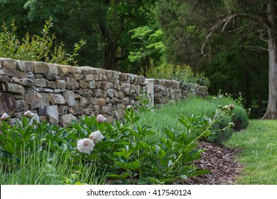 Garden With Stone Wall And White Flowers