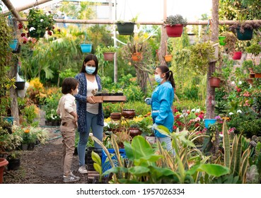 Garden Store In Latin America. People Buying Ornamental Plants. Hispanic Community.