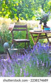 garden and tea party at the country style. still life - сherry pie, cups, dishes and a vase with wildflowers. watering can and lavender in the foreground - Shutterstock ID 2238174689