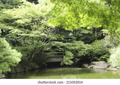 The Garden Of Tokyo Metropolitan Teiyen Art Museum