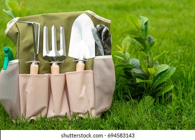 Garden Tools In A Garden