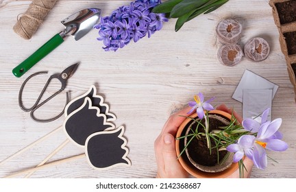 Garden Tools And Hands Holding Flower Pot On White Wooden Surface