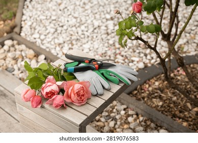 Garden tools, pruning shears, gloves, and freshly cut pink roses arranged on a wooden table beside a blooming rose bush. Outdoor gardening scene with natural light and a well-maintained home garden