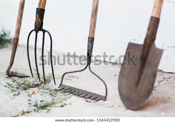 garden tools: shovel,\
rake, pitchfork. old gardening tools, rake, shovel, pitchfork, hoe\
on white background