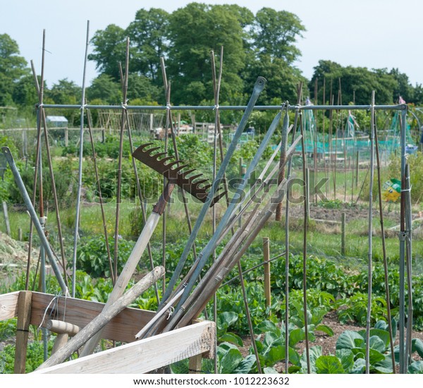 Garden Tools Wooden Crate On Allotment Stock Photo Edit Now