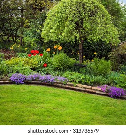 Garden With Tree In Spring