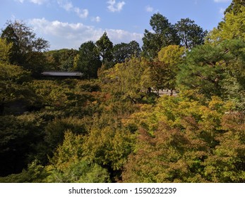 Garden Trees Early Autumn Foilage In Japan.