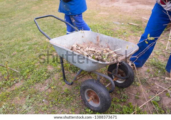A garden trolley with branches. Cleaning in the\
garden in spring