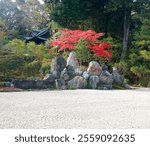 THE GARDEN OF TURUKAME IN KINCHI-IN. TURUSIMA maple is colorful