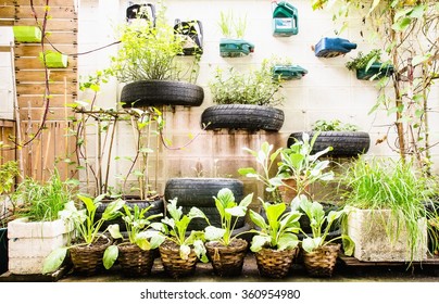 Bonnes plantes de jardin urbain