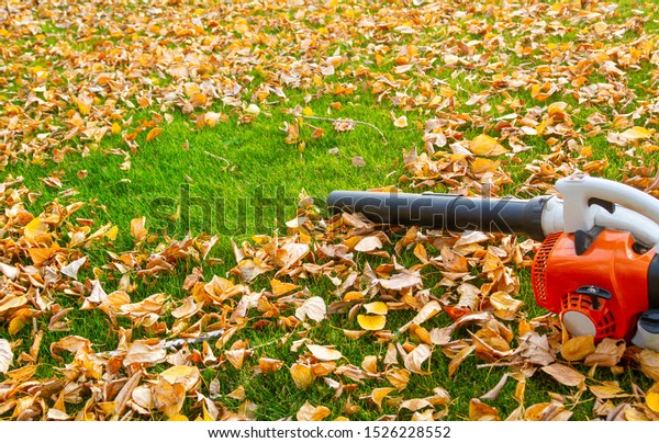 Garden vacuum cleaner on a lawn with yellow leaves\
on a sunny day.