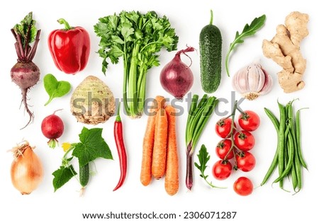 Garden vegetables set. Celery, pepper, beetroot, carrot, onion, garlic, ginger, tomato, cucumber and green bean isolated on white background. Healthy eating. Creative layout. Flat lay, top view