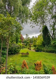 Garden view and greenery in the summer