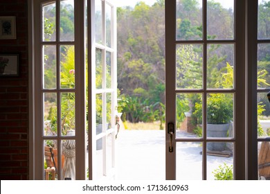Garden view seen from the inside of a house through the opened door,nature background.