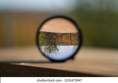 Garden View Through Camera Lens