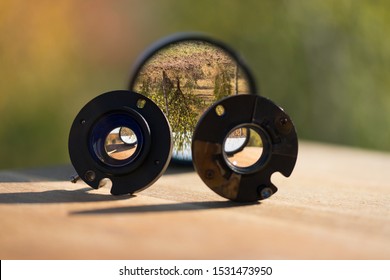 Garden View Through Camera Lens