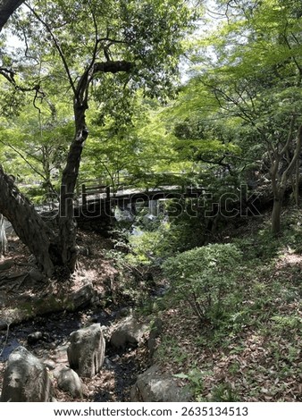 The garden view in Wakayama castle