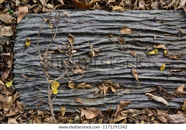 Garden Walk Decor By Dead Tree Stock Photo Edit Now 1171291342