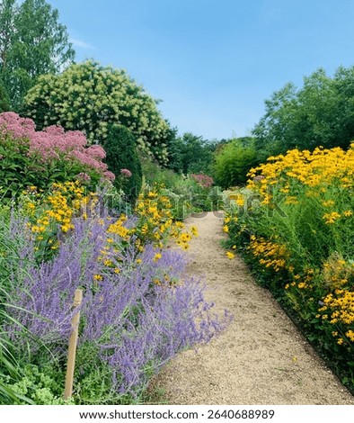 Garden walking path in Summer