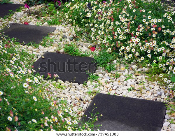 Garden Walkway Paved Square Grey Concrete Stock Photo Edit Now