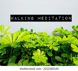 Garden Wall With Text Inscription WALKING MEDITATION, Practice Of Focusing Awareness On Walking And Training Your Mind To Not Get Distracted