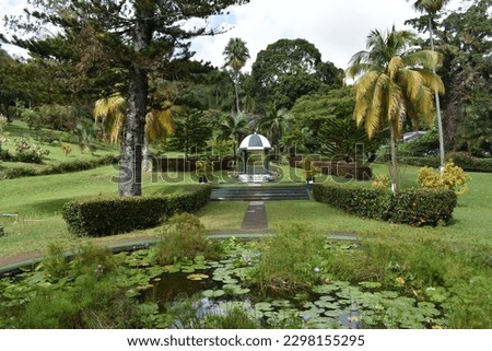 Garden water pond with water lilies and lotuses  nymphaea lily in Kingstown in the St. Vincent and the Grenadines Botanic Garden which is the oldest botanic garden in the Western Hemisphere. 