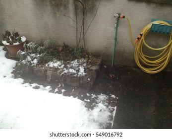 Garden Watering Hose Shut Down In Winter Time, With A Layer Of Snow, Frost In January 