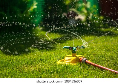 Garden Watering Of A Spring Green Lawn. Sunny Garden