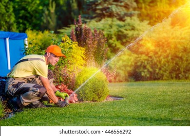 Garden Watering Systems. Garden Technician Testing Watering Sprinkler System In The Residential Garden.