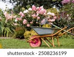 A garden wheelbarrow and a rake in the backyard of the house. The concept of housework, gardening and country life. Preparing the garden for autumn and winter. Closing of the summer season.