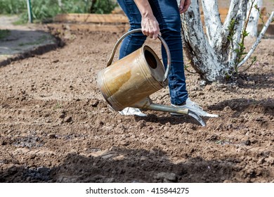 the garden - woman watering garden beds for sowing seeds. female hands and a metal watering can - Shutterstock ID 415844275