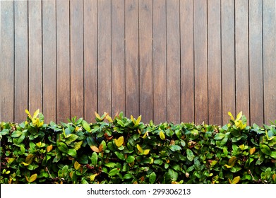 Garden Wood Fence