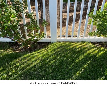 A Garden Wooden White Wood Picket Fence Grass Yard Sunlight Shadow Backyard