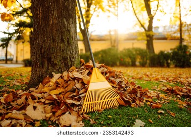 Garden work in the garden in autumn, raking leaves in the garden with a rake. The concept of cleaning, volunteering. - Powered by Shutterstock