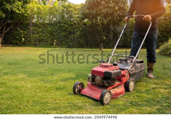 Garden work on the\
care of the lawn. A man mows the lawn using an electric pushing\
lawn mower.. cleaning\
concept
