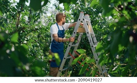 Similar – Image, Stock Photo summer joy Organic produce