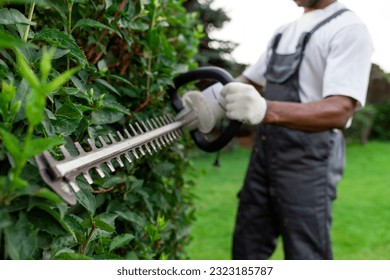 garden worker in uniform cuts bushes, african american man works in the garden with garden electric tool, pruning trees and bushes, close-up - Powered by Shutterstock