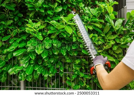 Similar – Image, Stock Photo The hedge Hedge Green