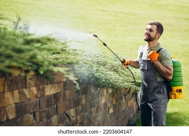 Garden Worker Watering Grass And Bushes In The Yard With Sprinkler