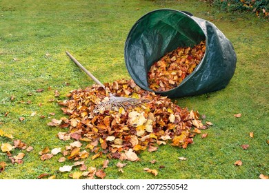Gartenwerke, die Tasche und Racke zeigen, gefüllt mit Herbstblättern auf grünem Rasen