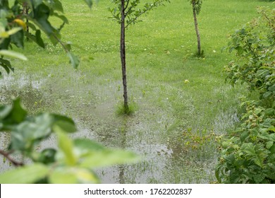 2,225 Flooded yard Images, Stock Photos & Vectors | Shutterstock