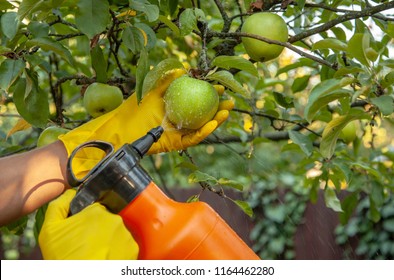 3,810 Orchards diseases Images, Stock Photos & Vectors | Shutterstock